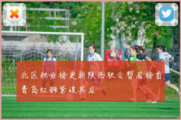 北区积分榜更新陕西联合暂居榜首青岛红狮紧追其后