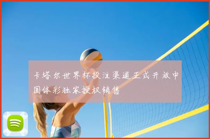 卡塔尔世界杯投注渠道正式开放中国体彩独家授权销售