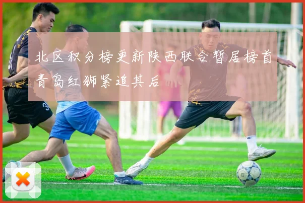 北区积分榜更新陕西联合暂居榜首青岛红狮紧追其后