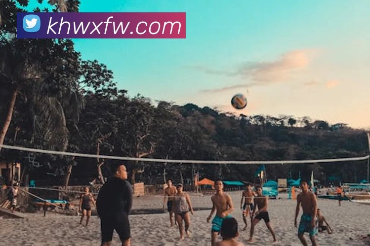 博亚娱乐app官方网站APP 封面图